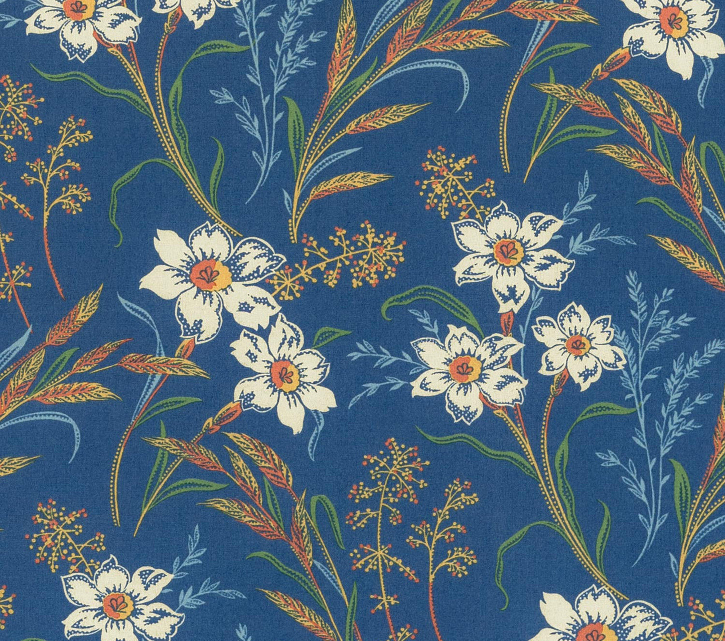 Vera - Blue