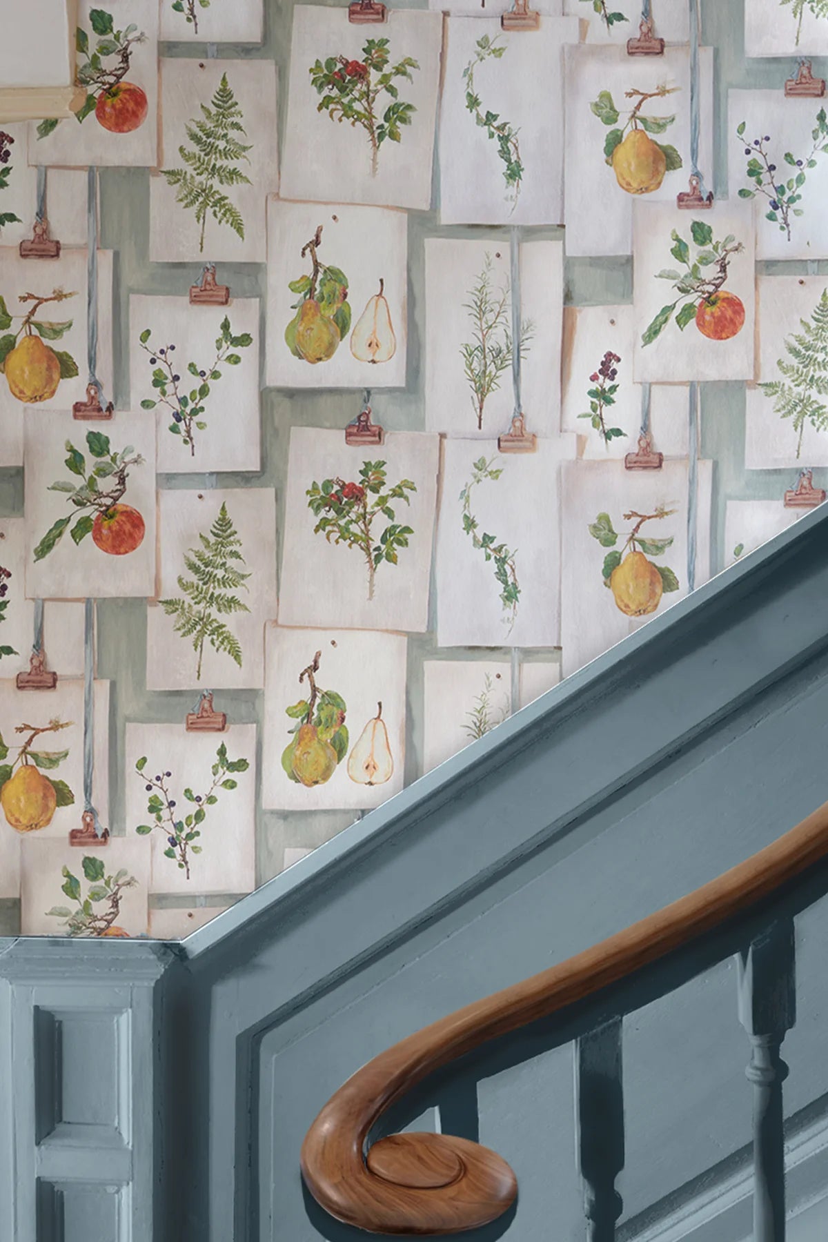Botanical Studies - Vintage