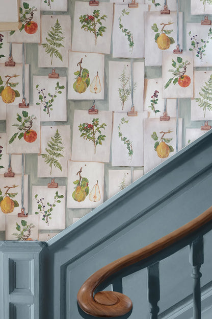 Botanical Studies - Vintage