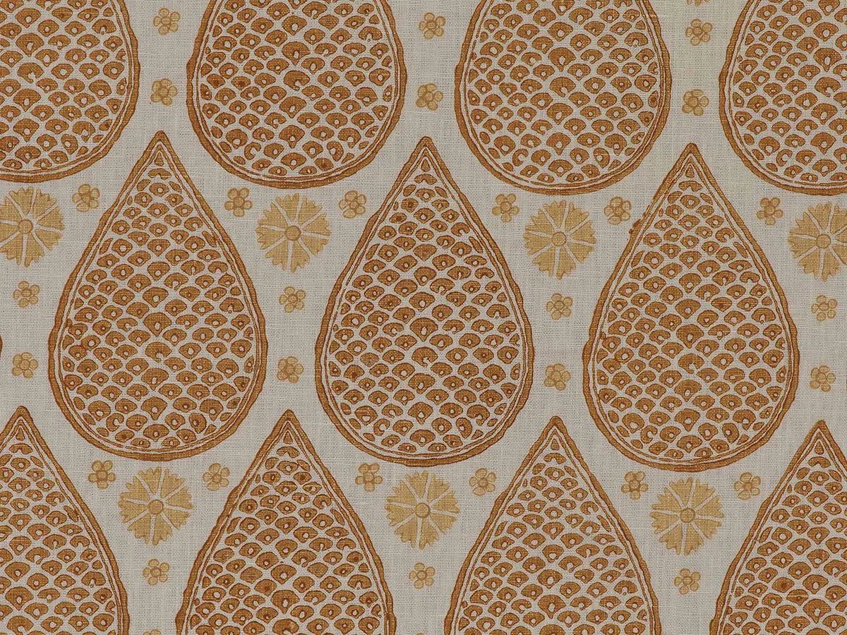 Chota Anar - Marigold