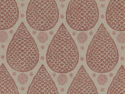 Chota Anar - Frangipani