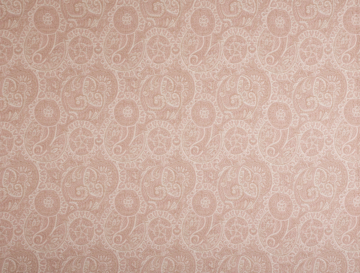Chandini - Peony