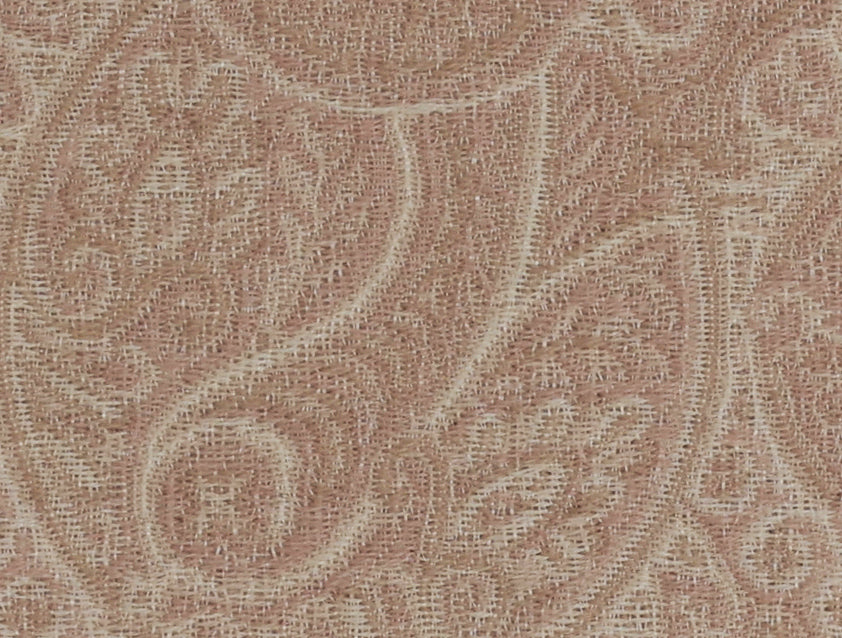 Chandini - Peony