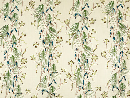 Chinsura - Snow Pea