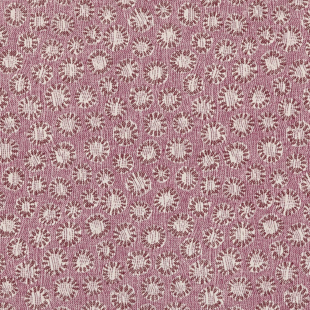 Coral - 002