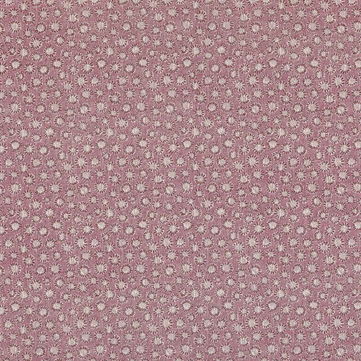 Coral - 002