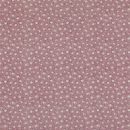 Coral - 002