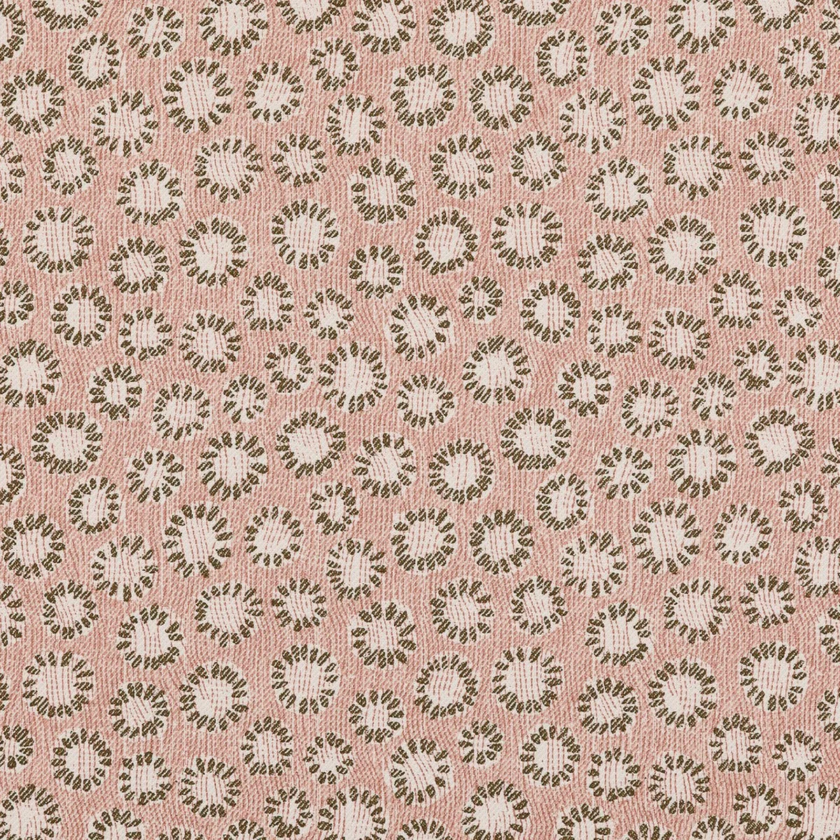 Coral - 003