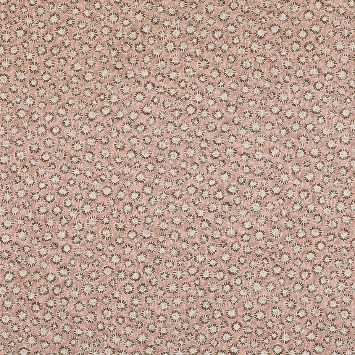 Coral - 003