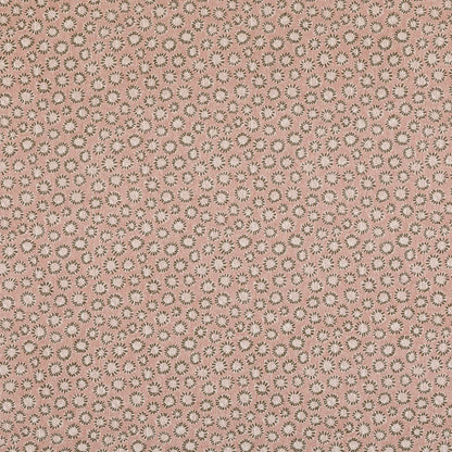 Coral - 003