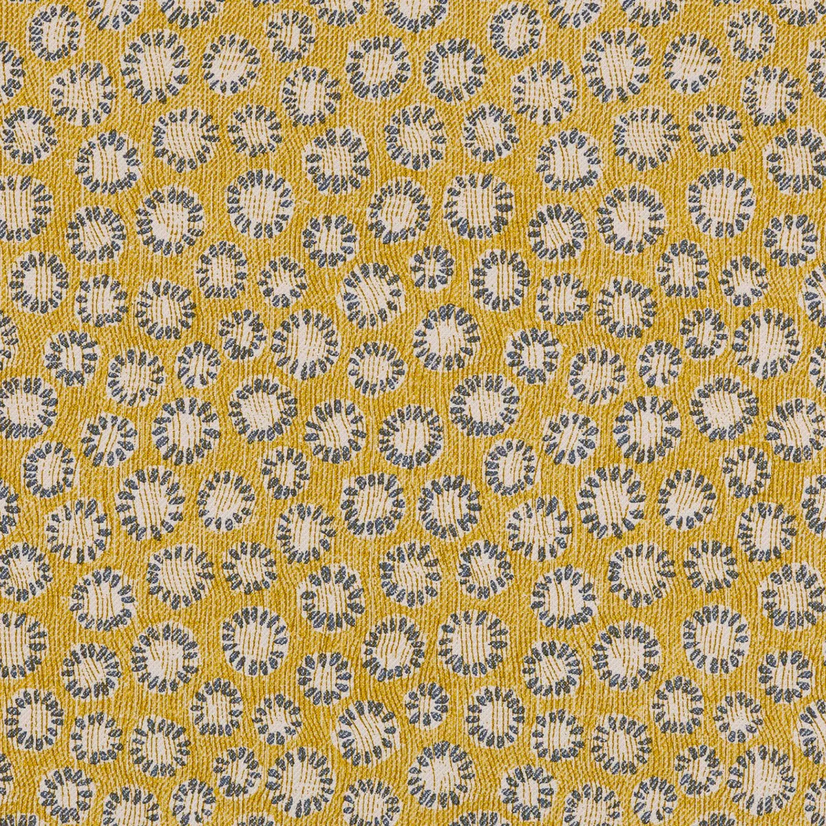 Coral - 005