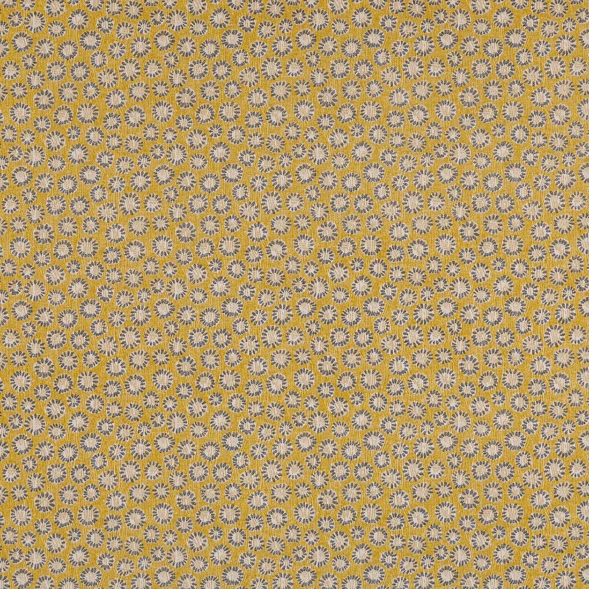 Coral - 005