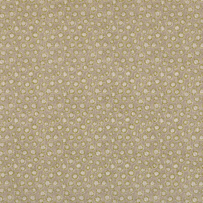 Coral - 007
