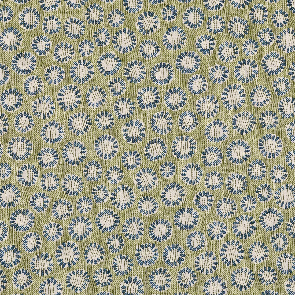 Coral - 008