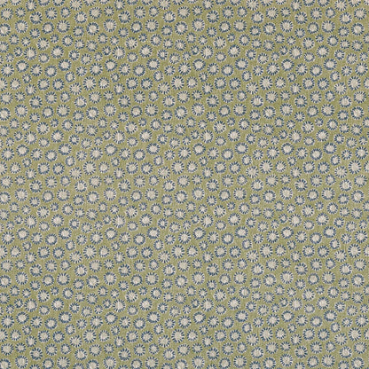 Coral - 008