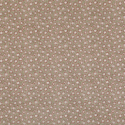 Coral Wallpaper - 010