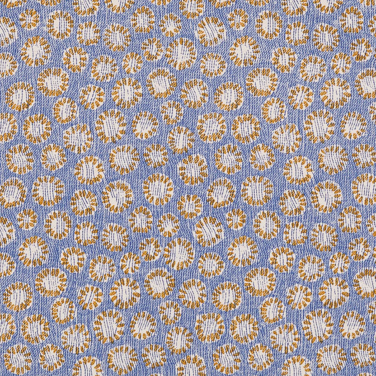 Coral - 014