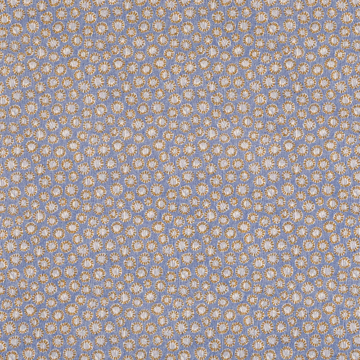 Coral - 014