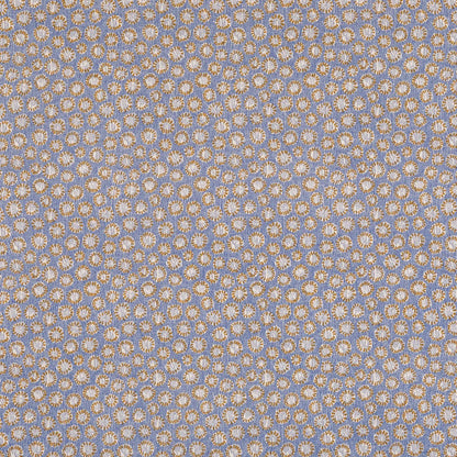 Coral - 014
