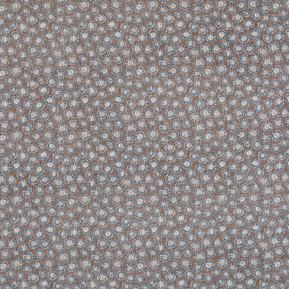 Coral - 016