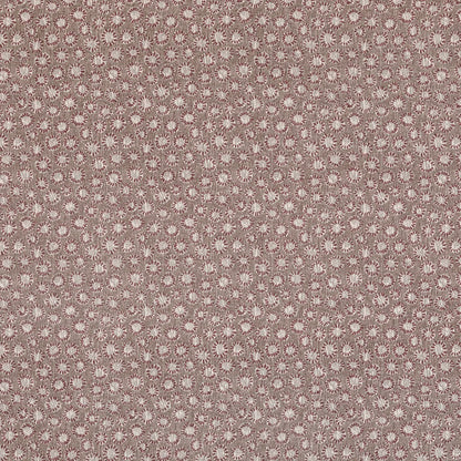 Coral - 017