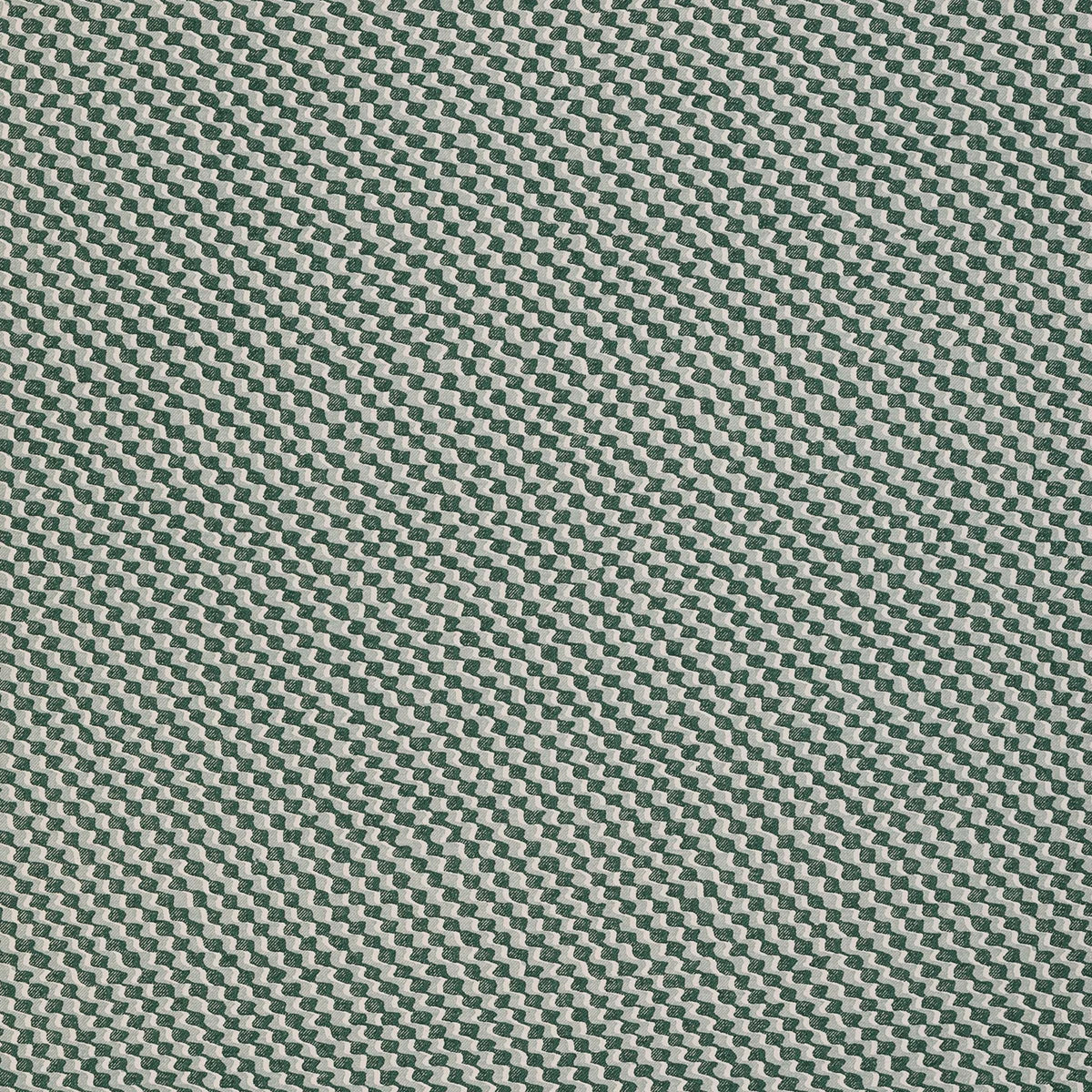 Ruffle - RUFF-008