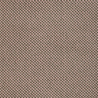 Ruffle - RUFF-014