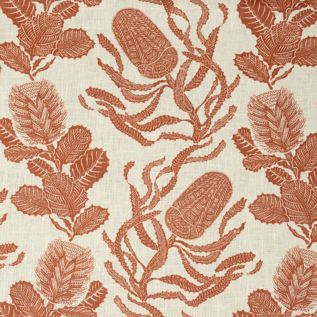 Cape Botanical - Terracotta / Oyster