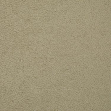 Como (Made to Order) - Champagne