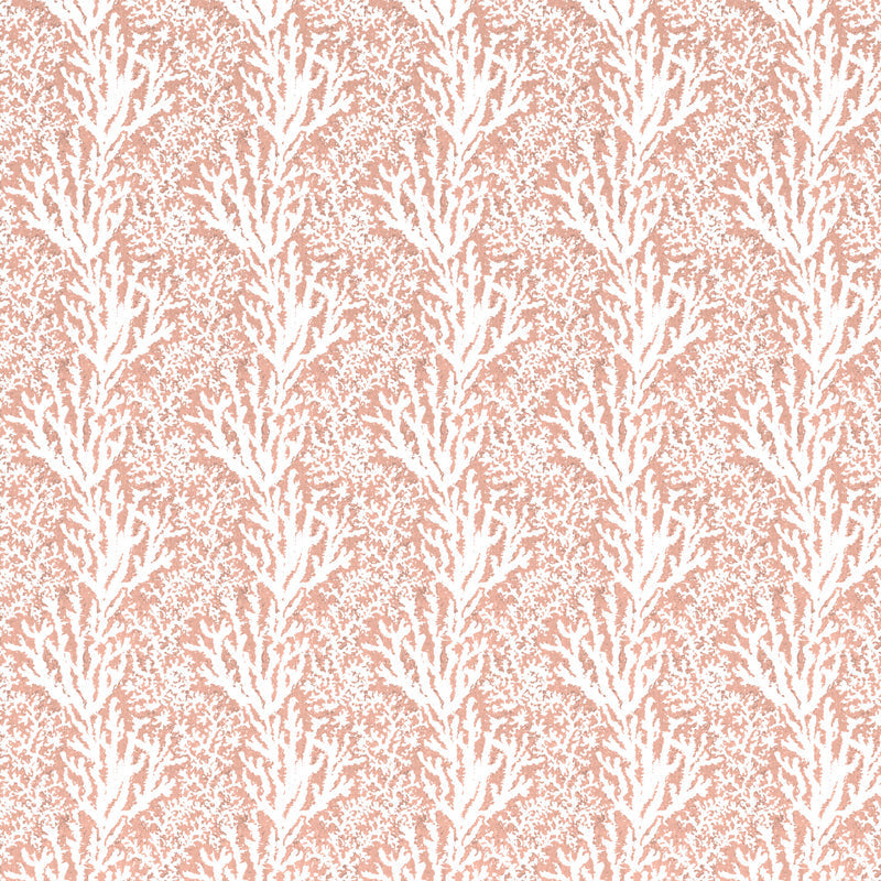 Coral Stripe - Faded Rose
