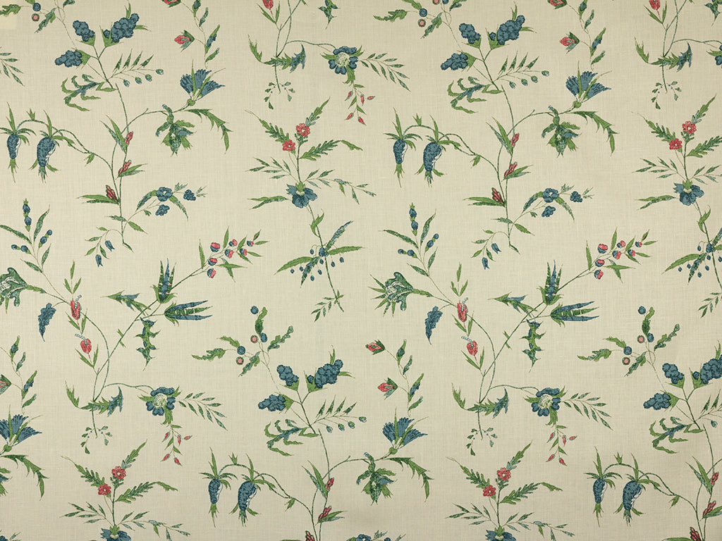 Delfine - Snow Pea