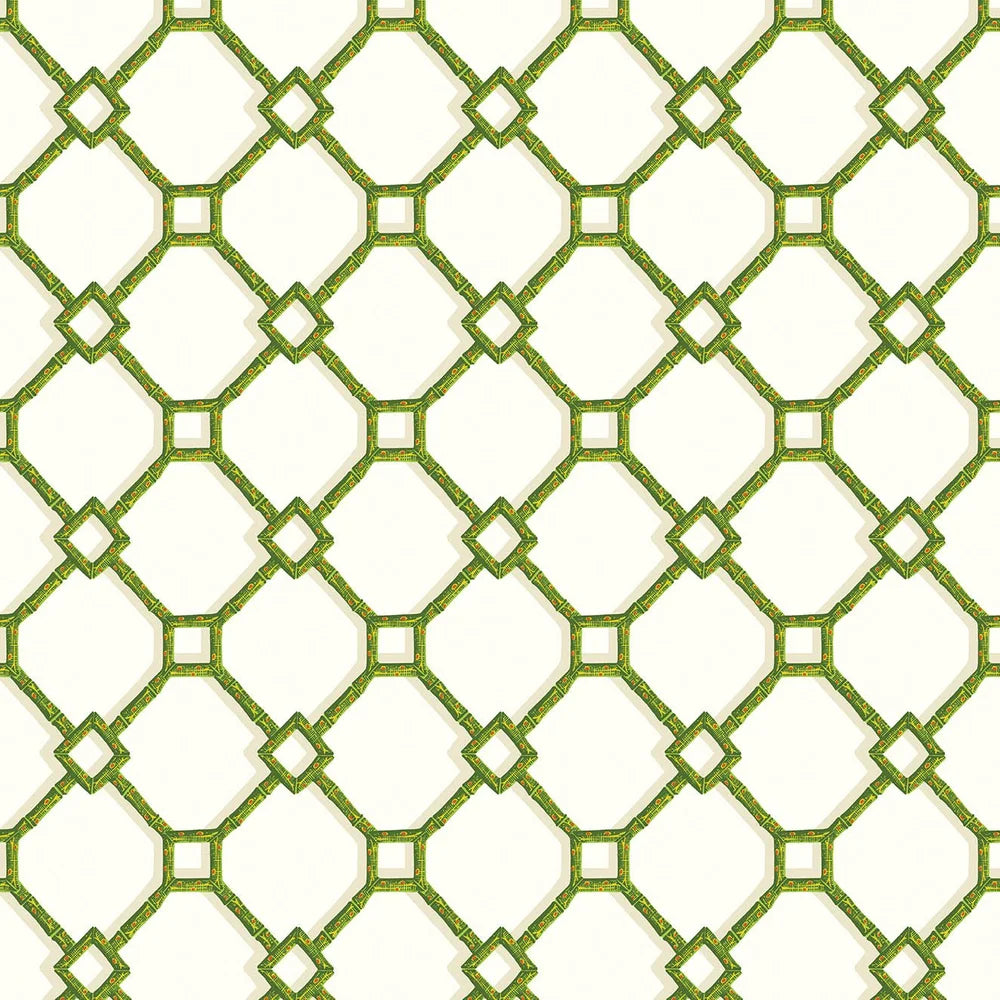 Petit Bamboo - Green on White