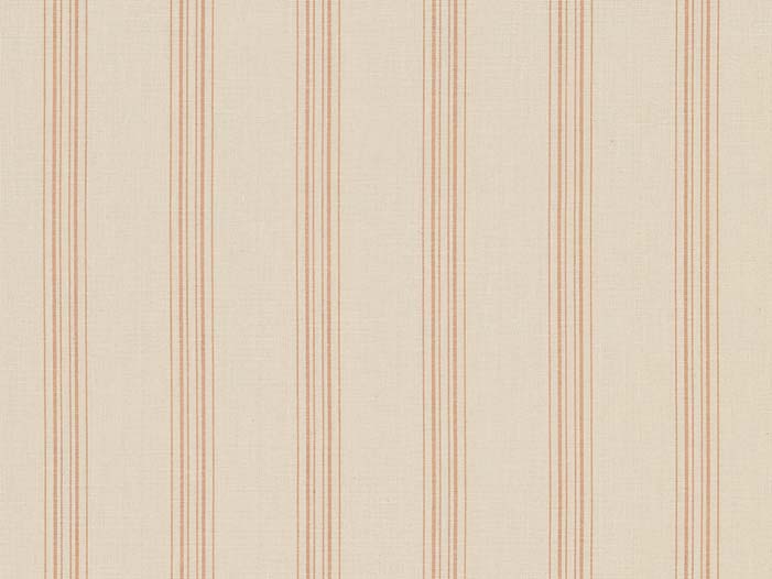 Escaut-Stripe - Peony