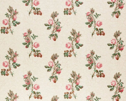 Eloise - Wild Rose