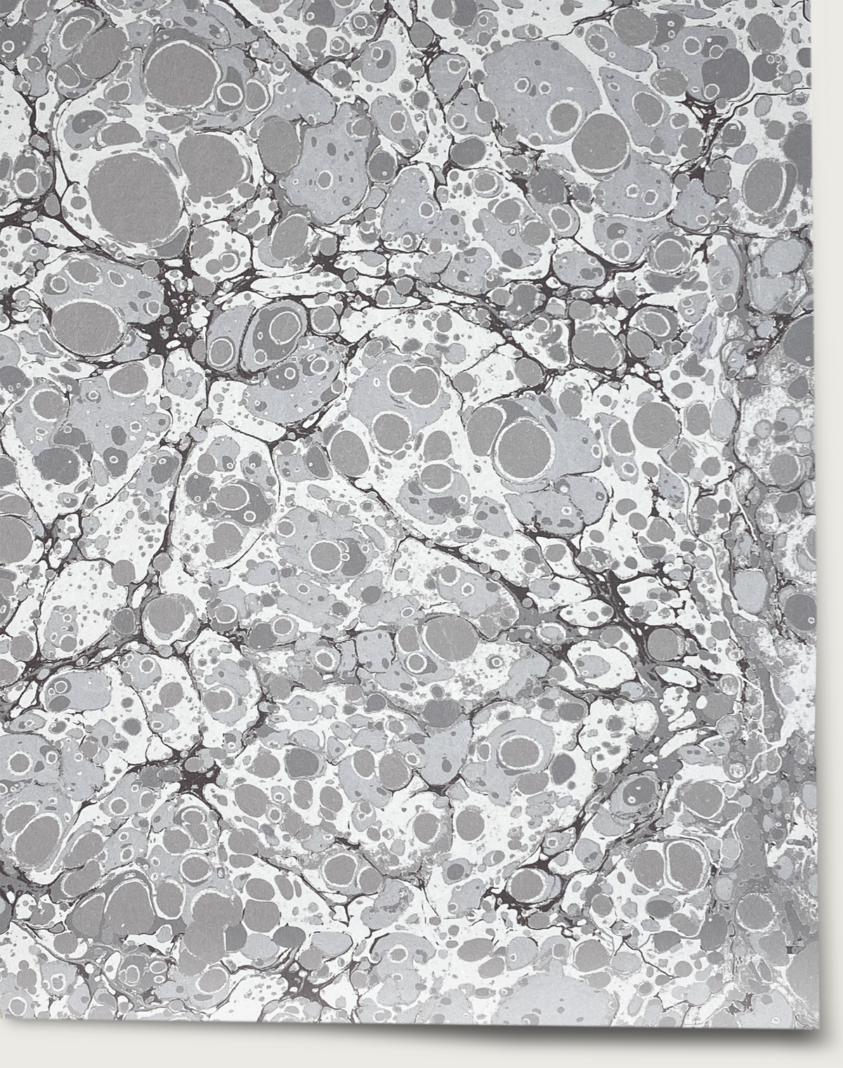 End Papers Wallpaper - Dorian Grey