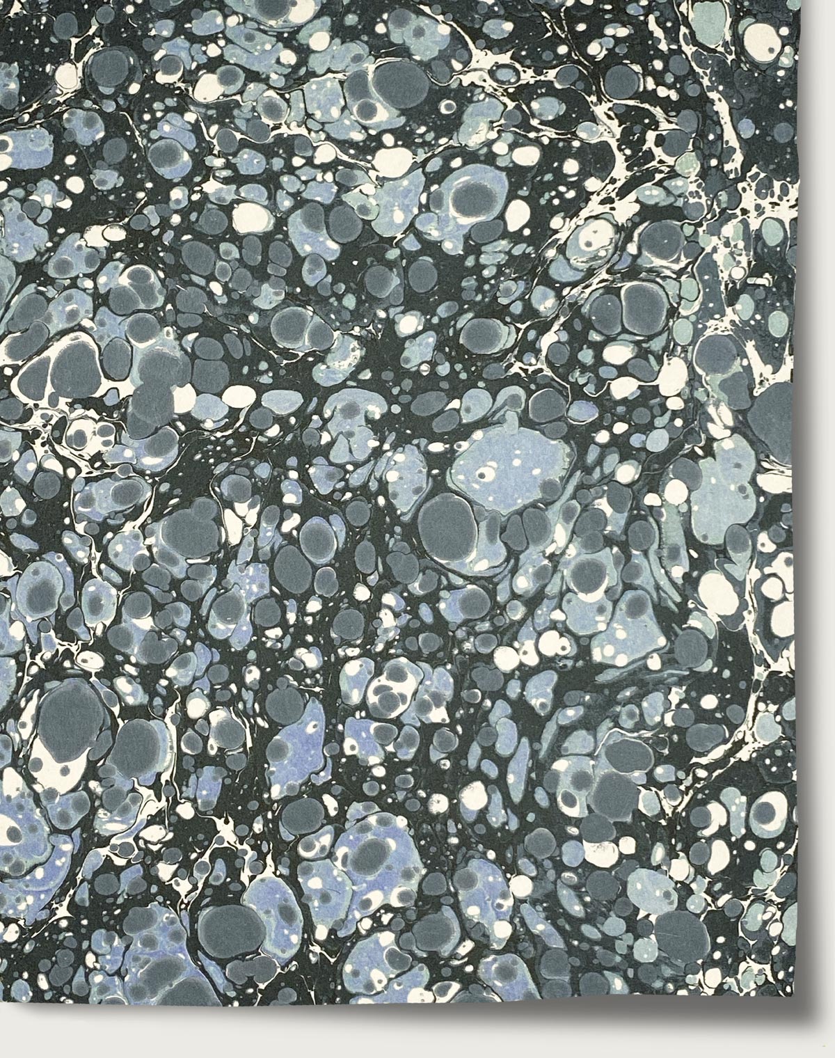 End Papers Wallpaper - Moby Dick