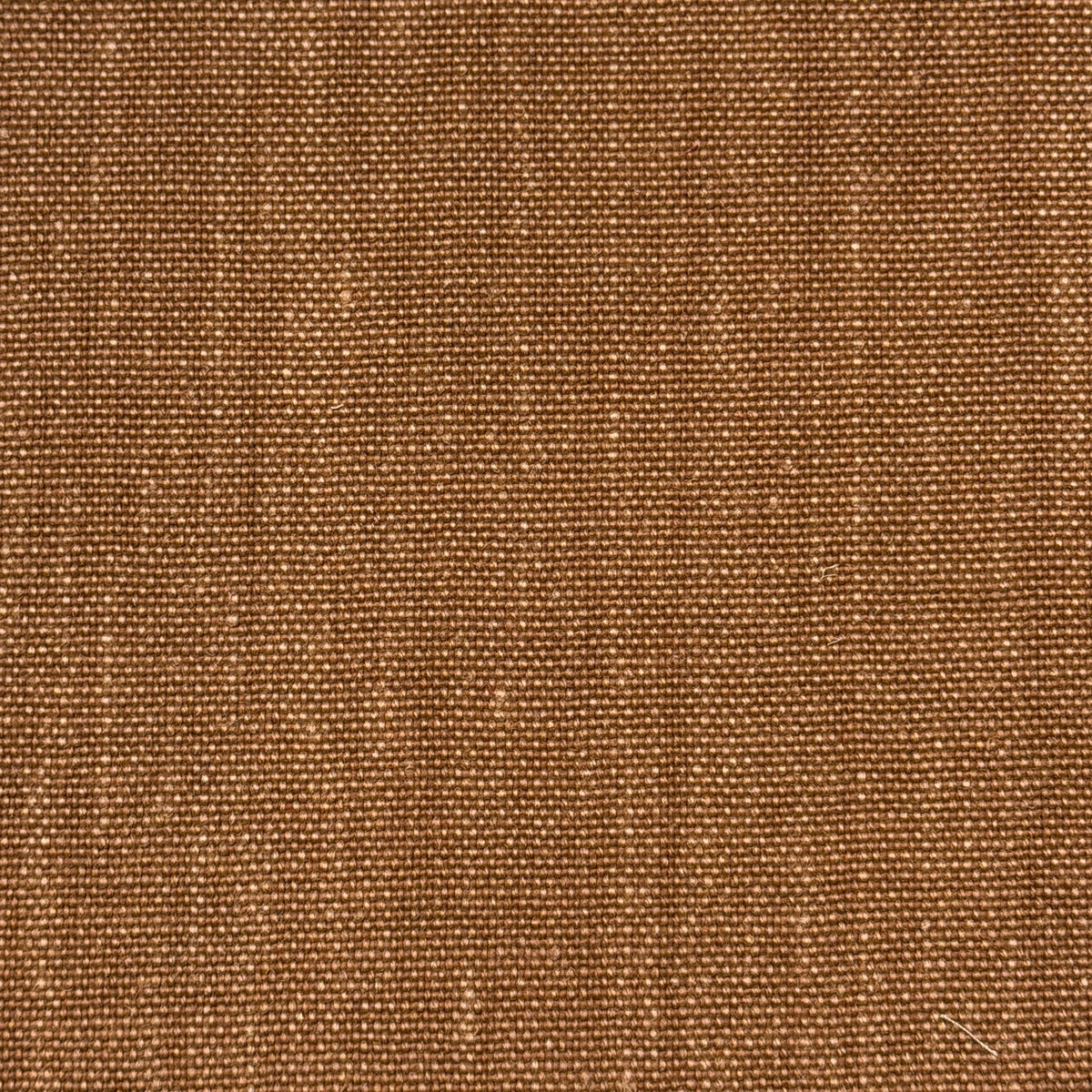 Torcy - Hazelnut