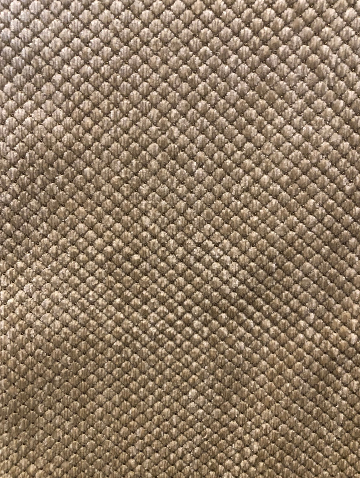Wilton - Vellum