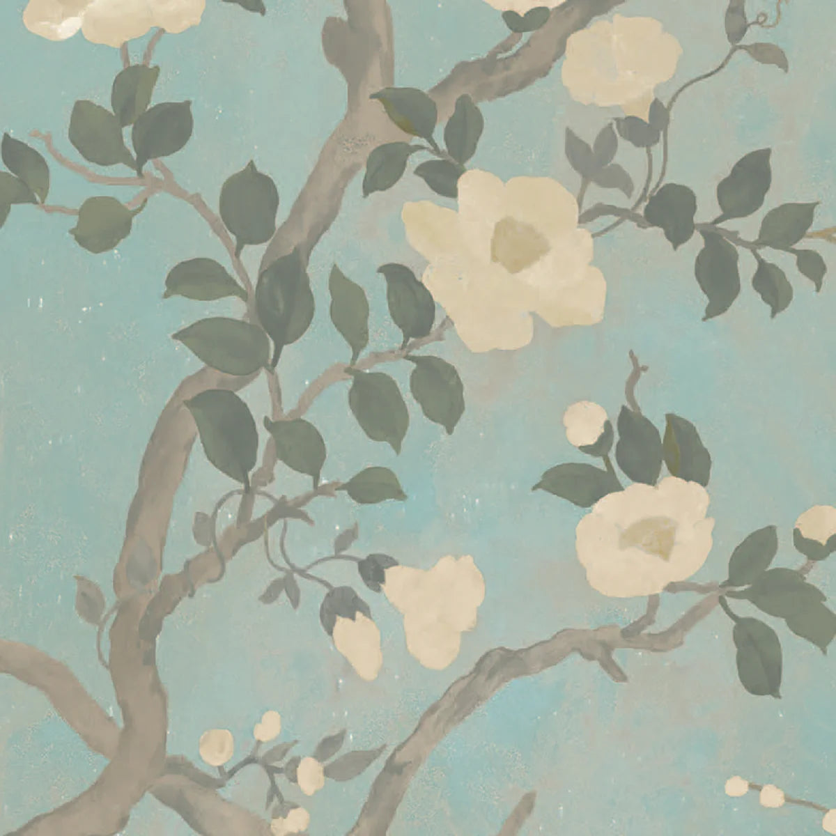 Camellia - Pale Blue