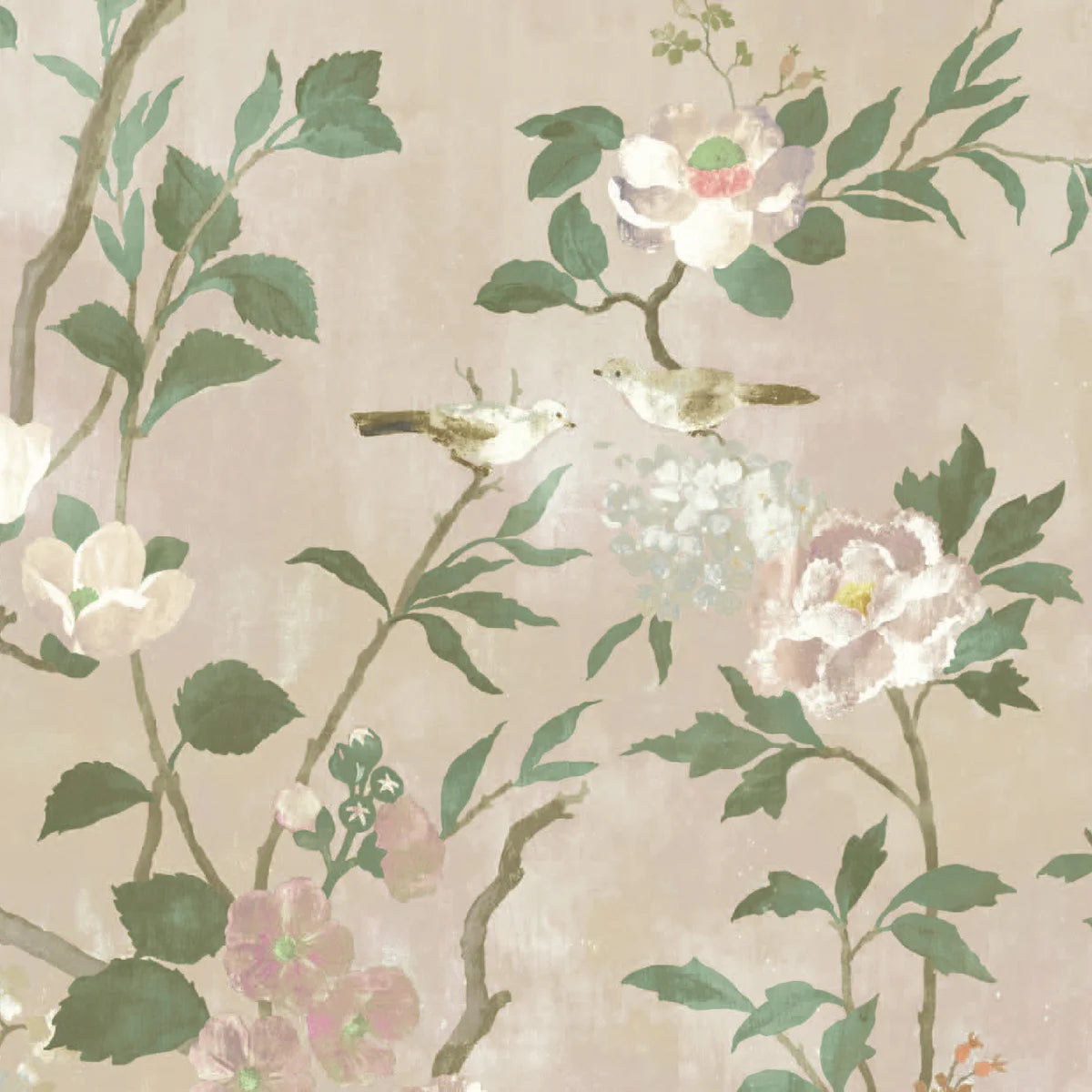 Peony Garden - Blush