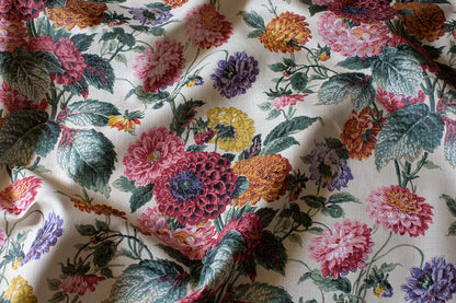 Dahlias - Parchment