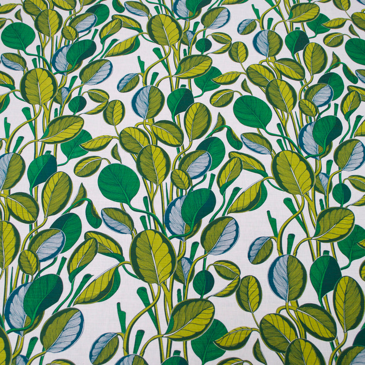 Calathea - Chartreuse