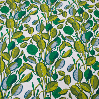 Calathea - Chartreuse