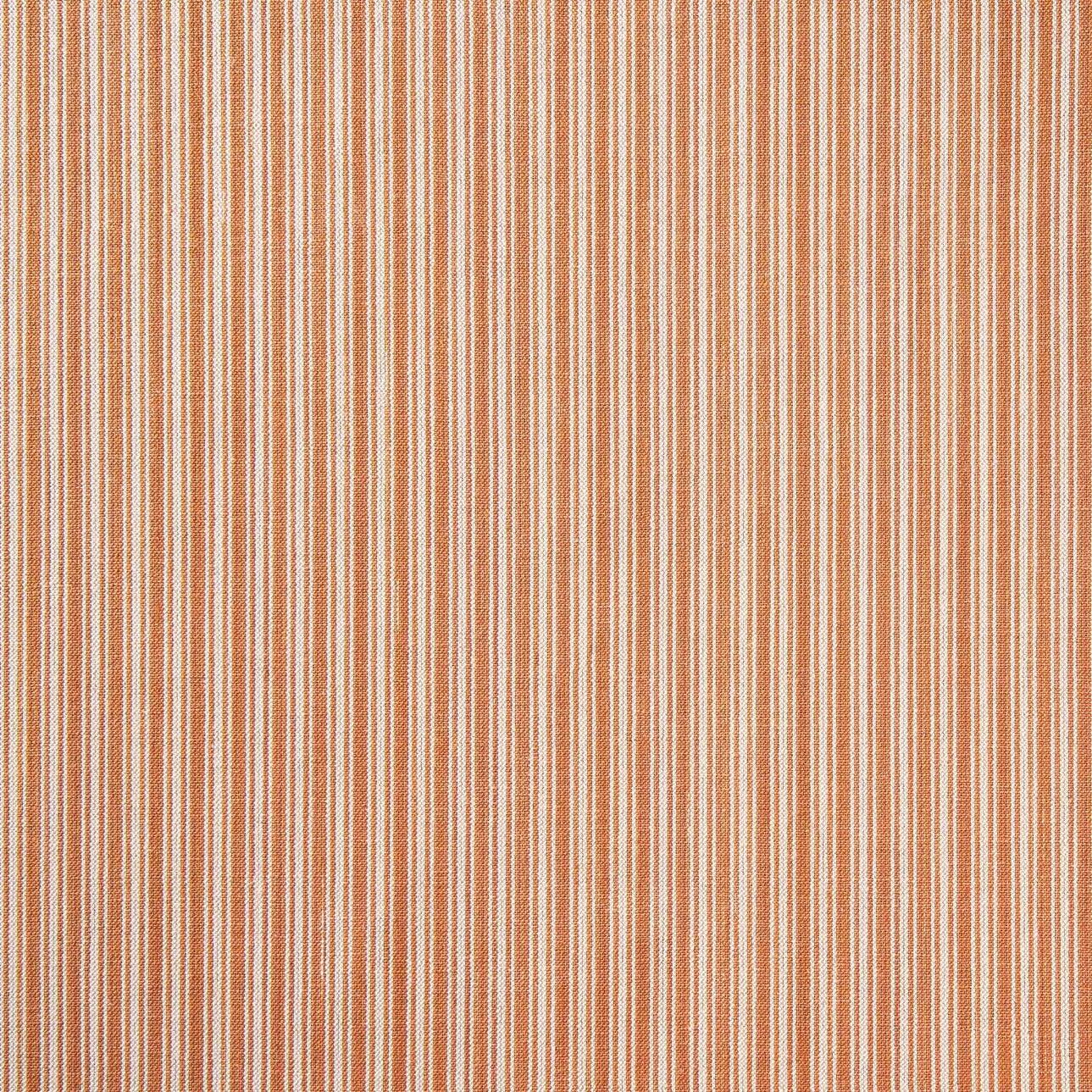 Ticking Stripe - Orange