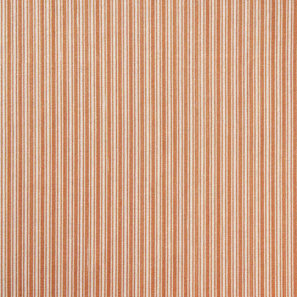 Ticking Stripe - Orange