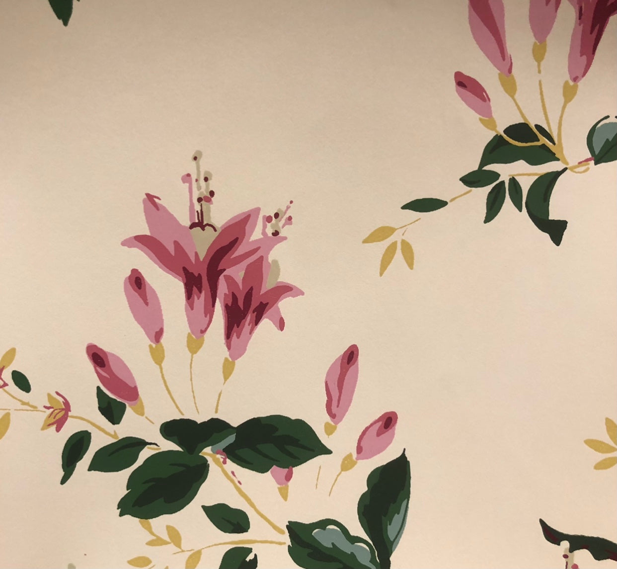 Fuchsia Wallpaper - Pink & Green