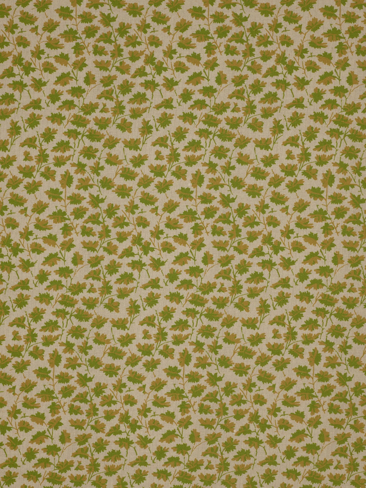 Hawthorn - Moss Gold