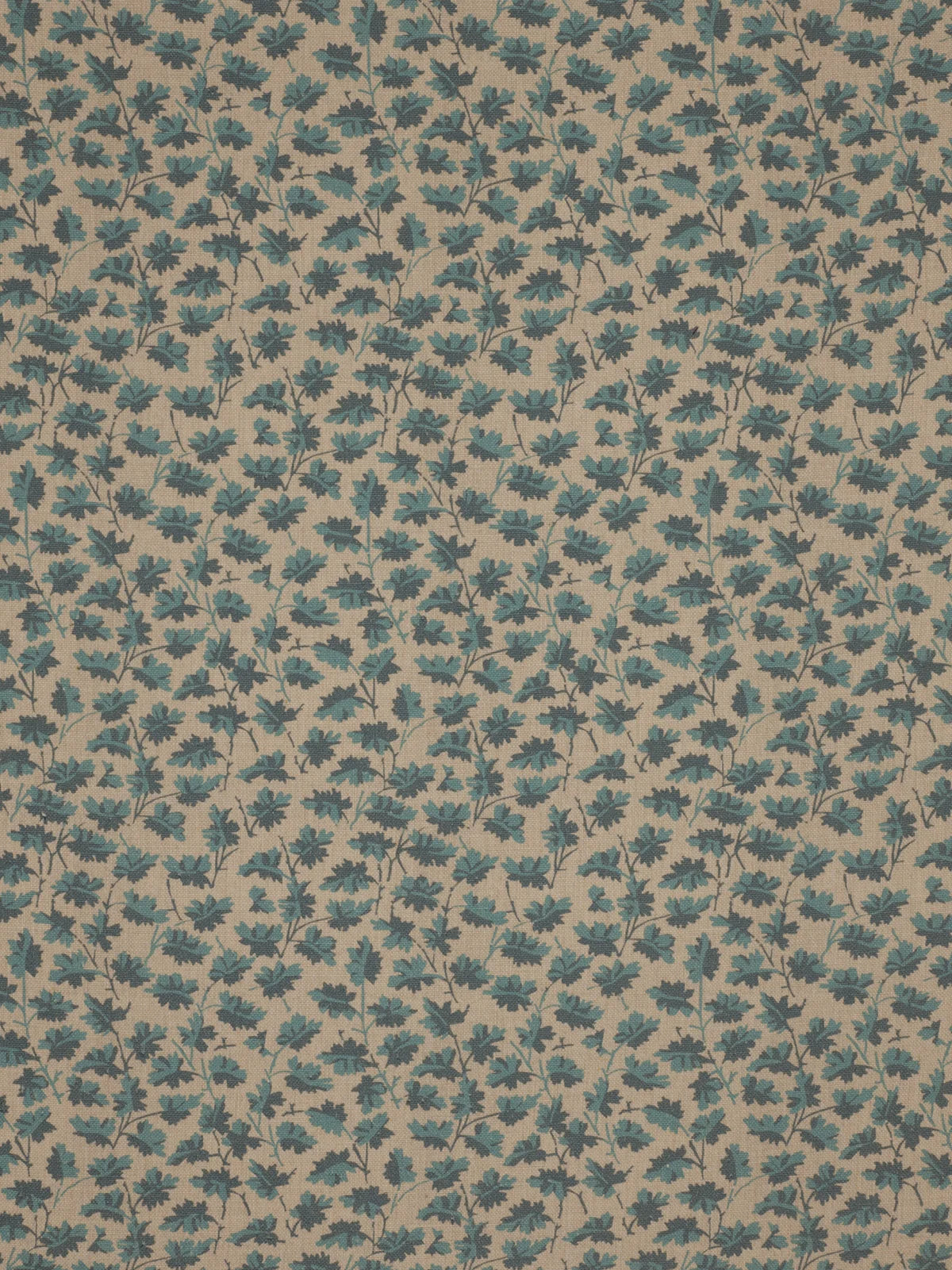 Hawthorn - Cerulean