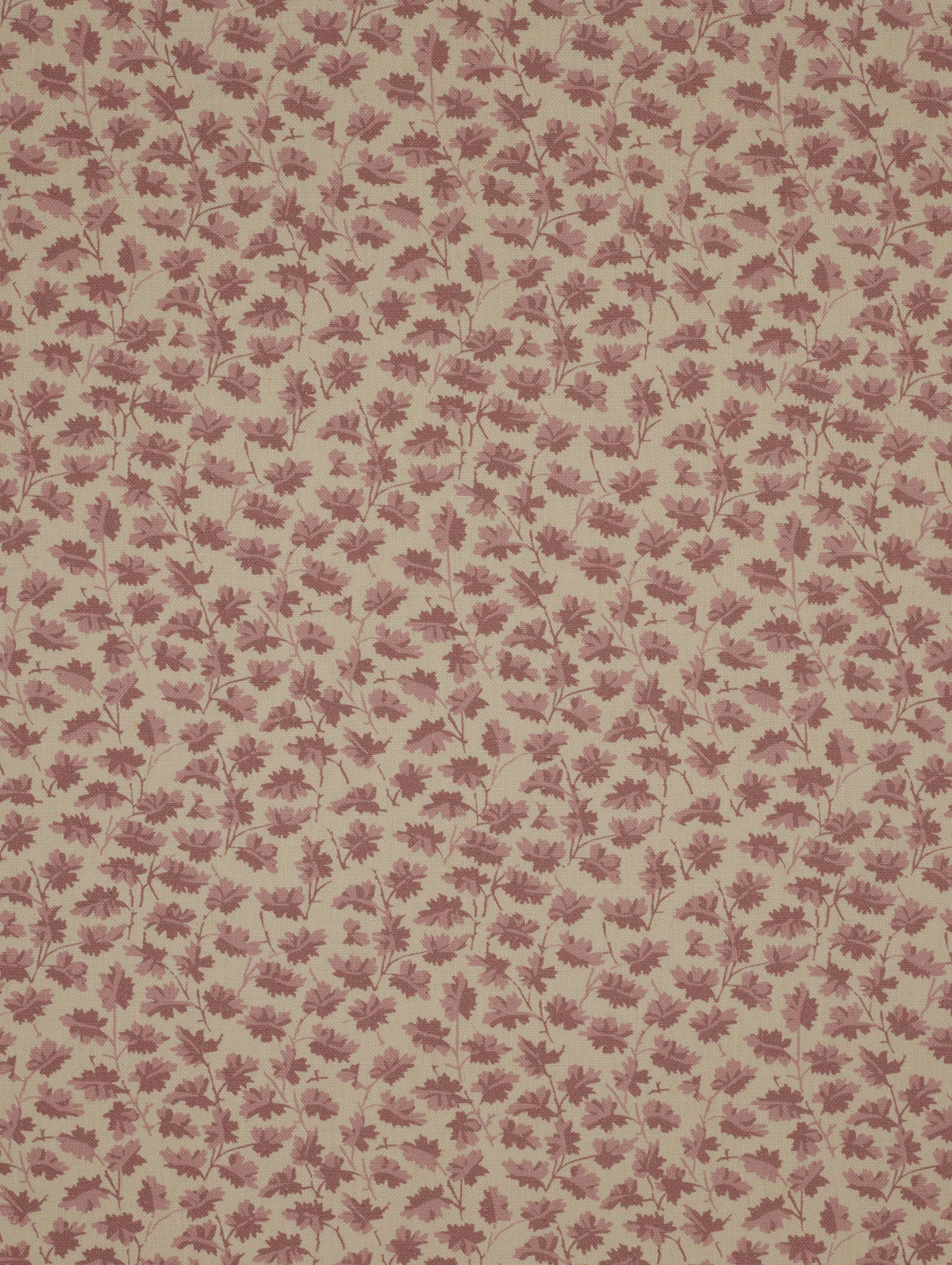 Hawthorn - Violet