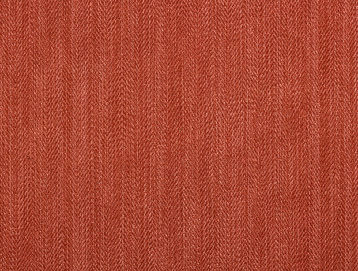 Hilsa - Coral